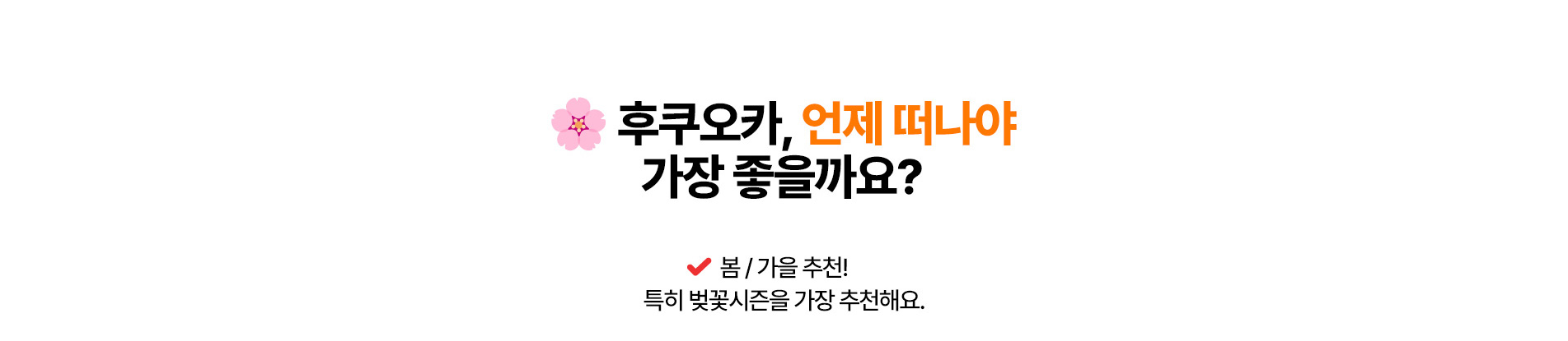 🌸후쿠오카, 언제 떠나야 가장 좋을까요? | ✔️ 봄/ 가을 추천! 특히 벚꽃시즌을 가장 추천해요.
