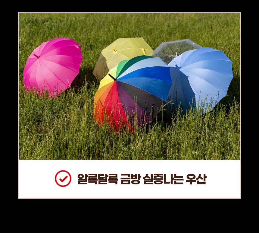 large-umbrella_22_27.jpg