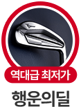 행운의 딜