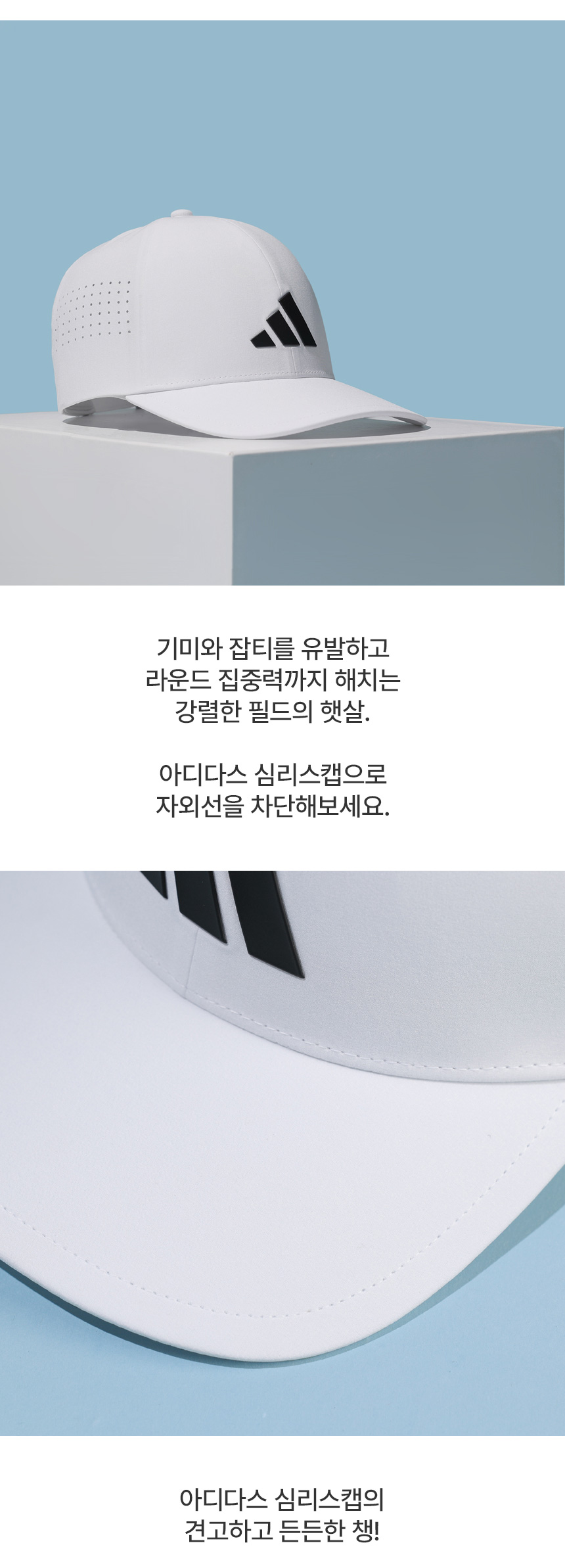 860px_11.jpg