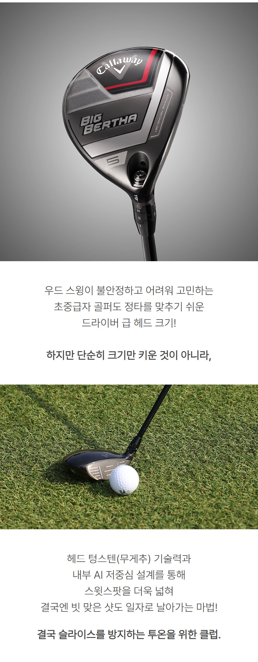 callaway_big_bertha_wood_25_02.jpg