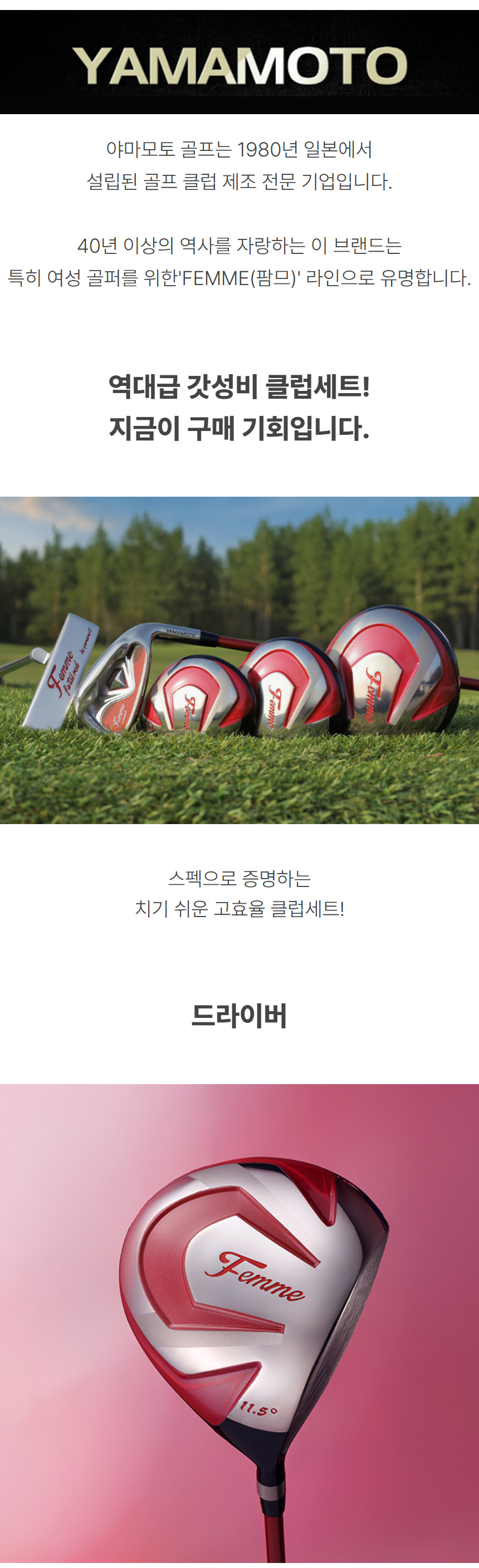 yamamoto_femme_w_carbon_iron_12pcs_club_set_03.jpg