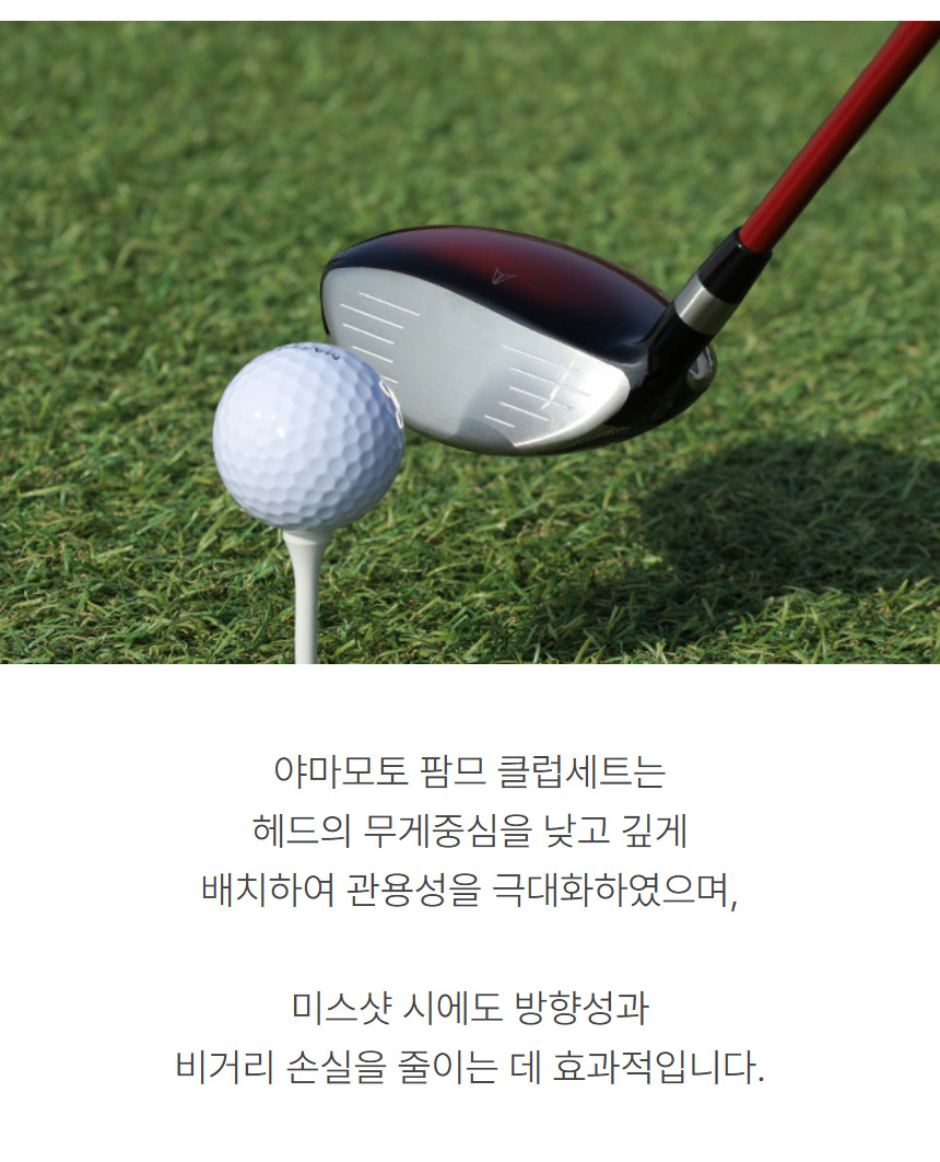 yamamoto_femme_w_carbon_iron_12pcs_club_set_07.jpg