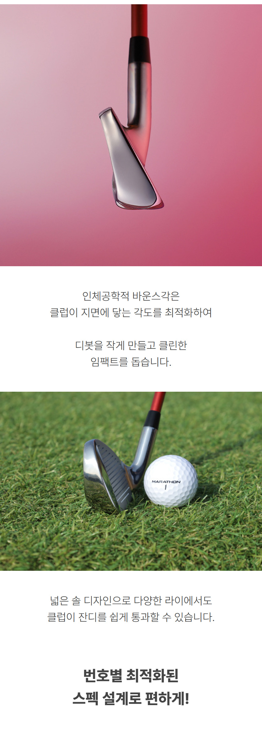 yamamoto_femme_w_carbon_iron_12pcs_club_set_16.jpg
