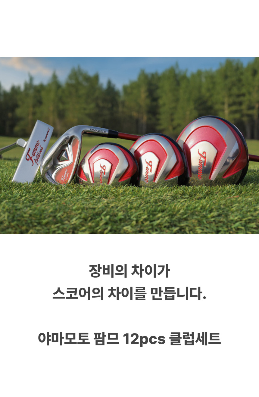yamamoto_femme_w_carbon_iron_12pcs_club_set_21.jpg