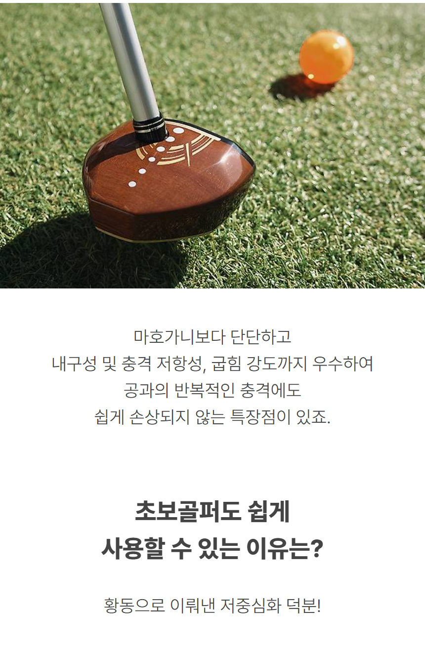 honma_tx_001_2star_park_golf_25_09.jpg