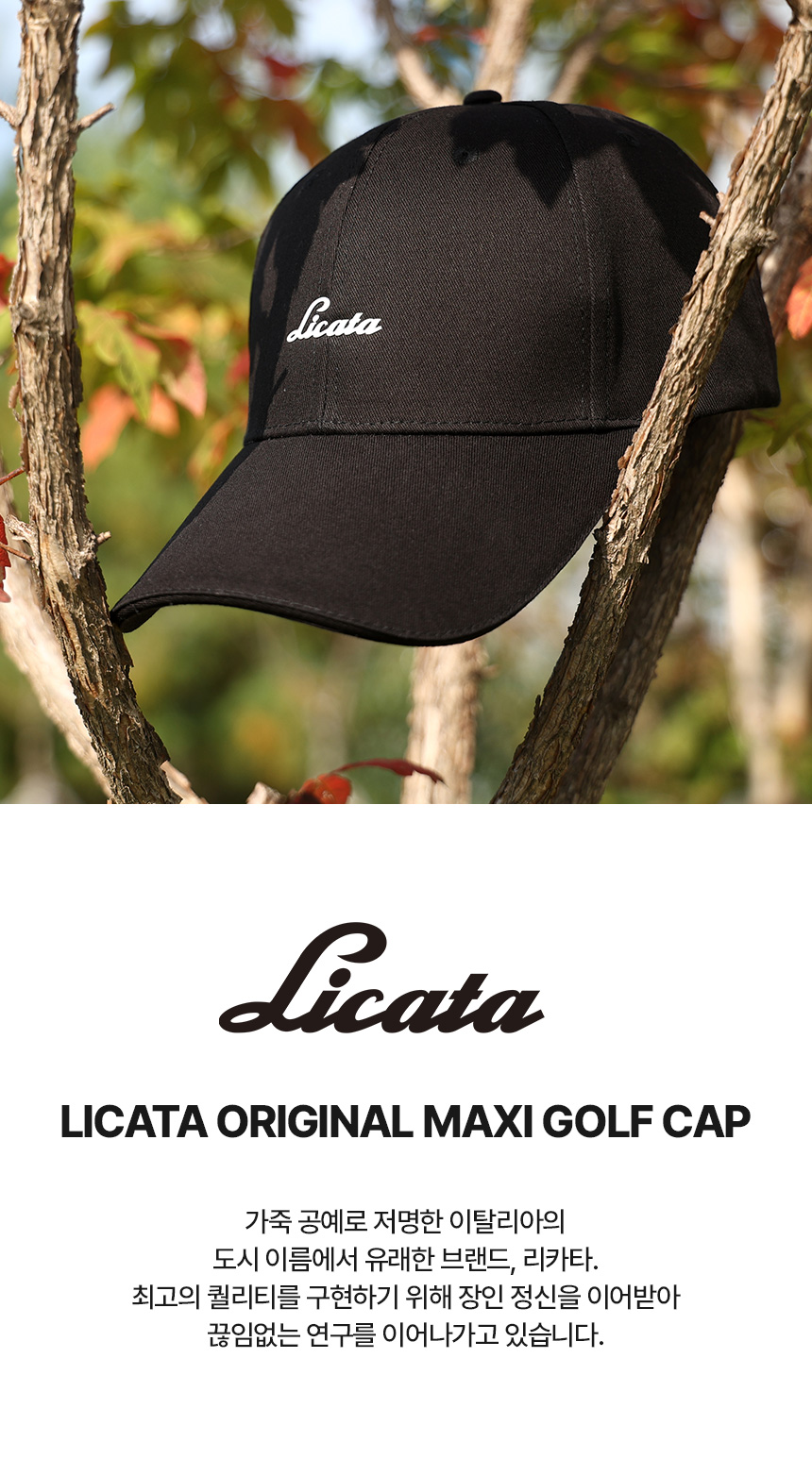 licata_maxi_hat_E45102_01.jpg