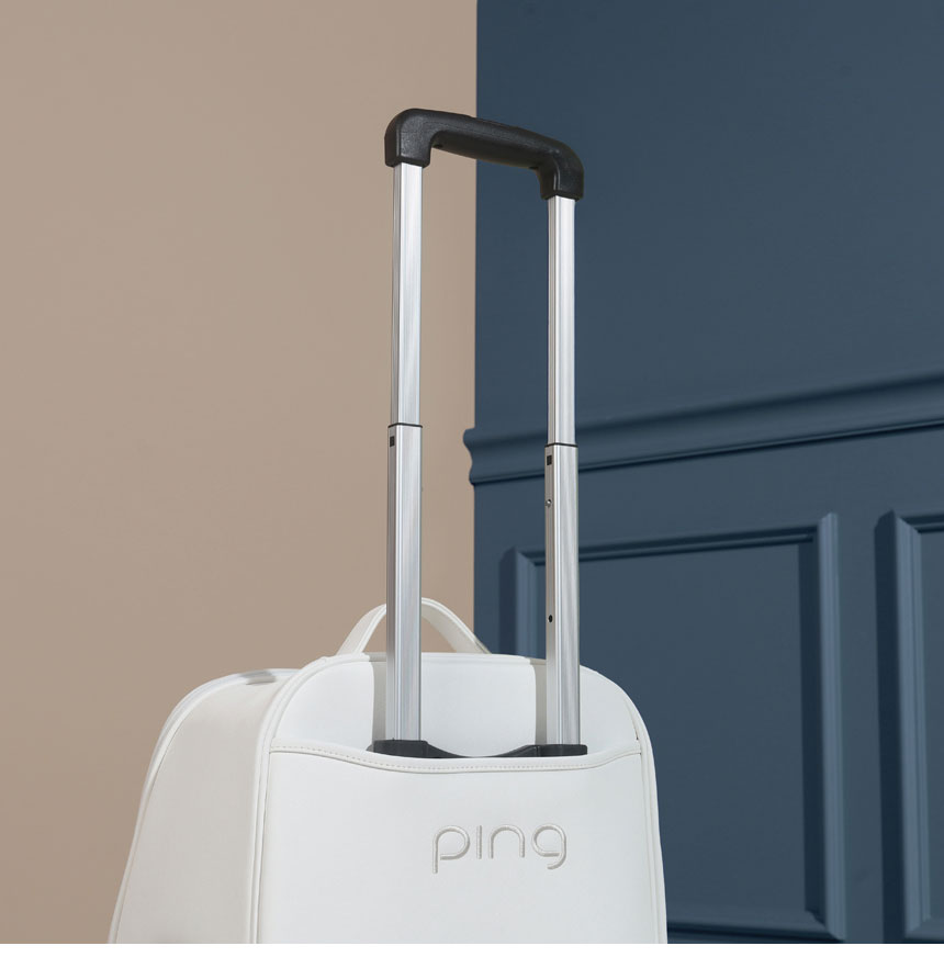ping_w_premium_QS_bb_23_05.jpg